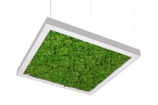 DA-HOGWEED G LED - Image 8